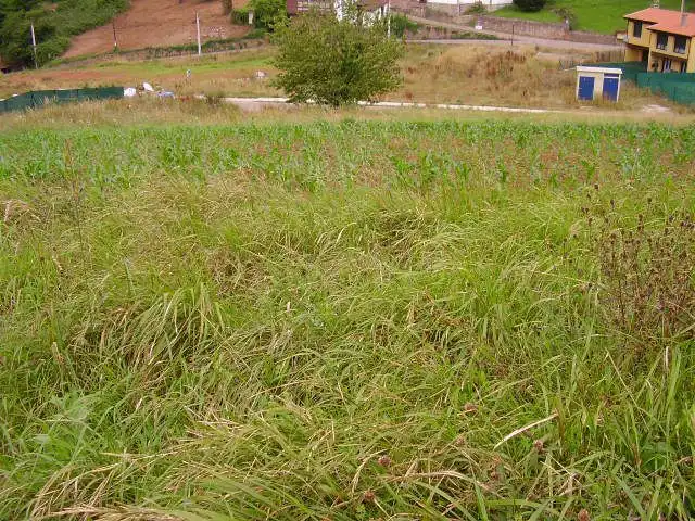 Terreny residencial en venda a Candamo, imagen 6