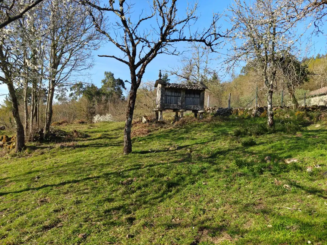Haus mit Garten zum Verkauf in Nogueira de Ramuín, imagen 21
