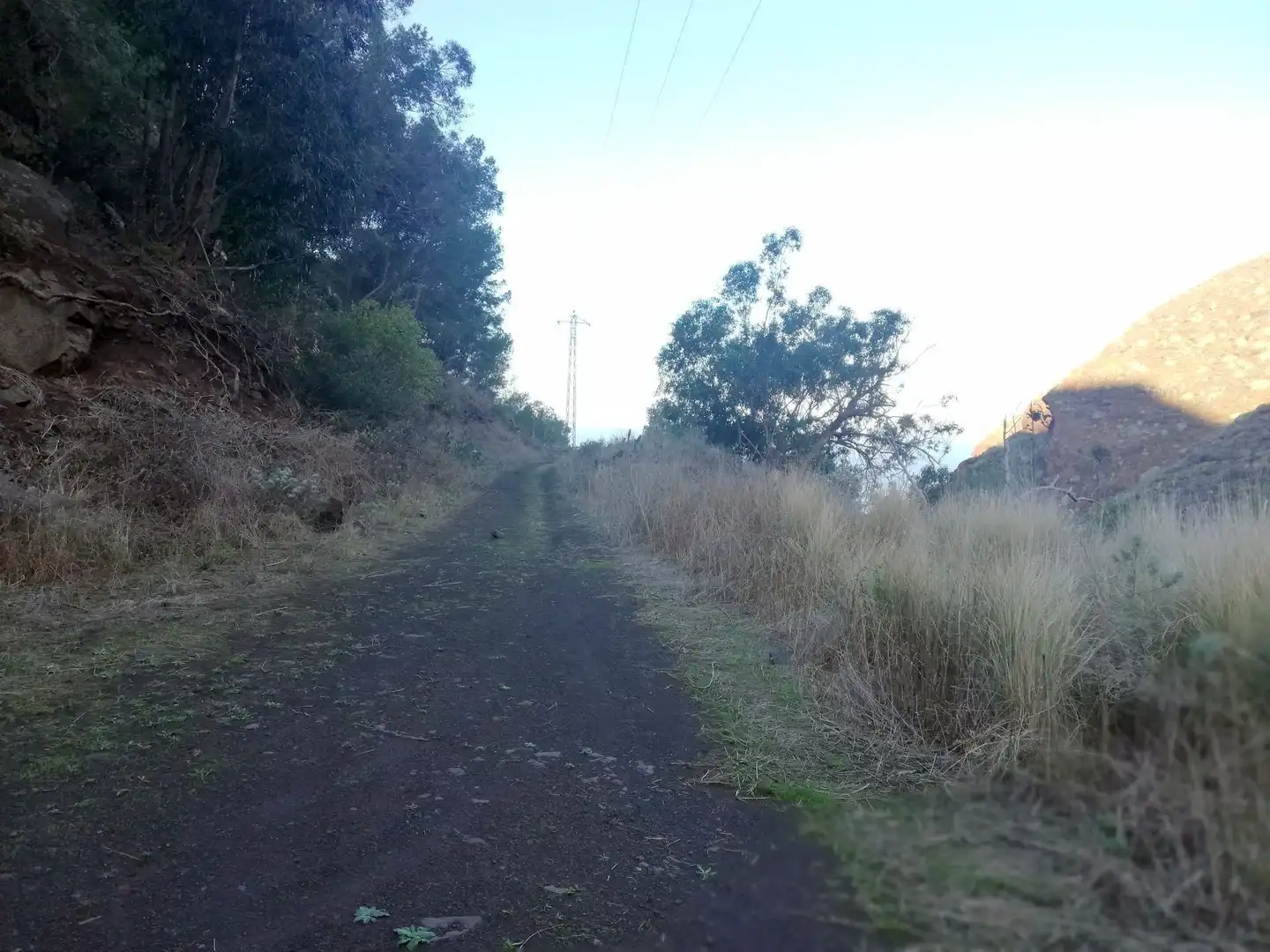 Terreno en venta en Isogue, polígono 7, parcela 39, 1, Punta del Hidalgo