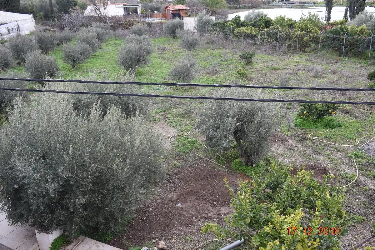 Finca rústica en venda en Berja amb Jardí privat, Terrassa i Piscina