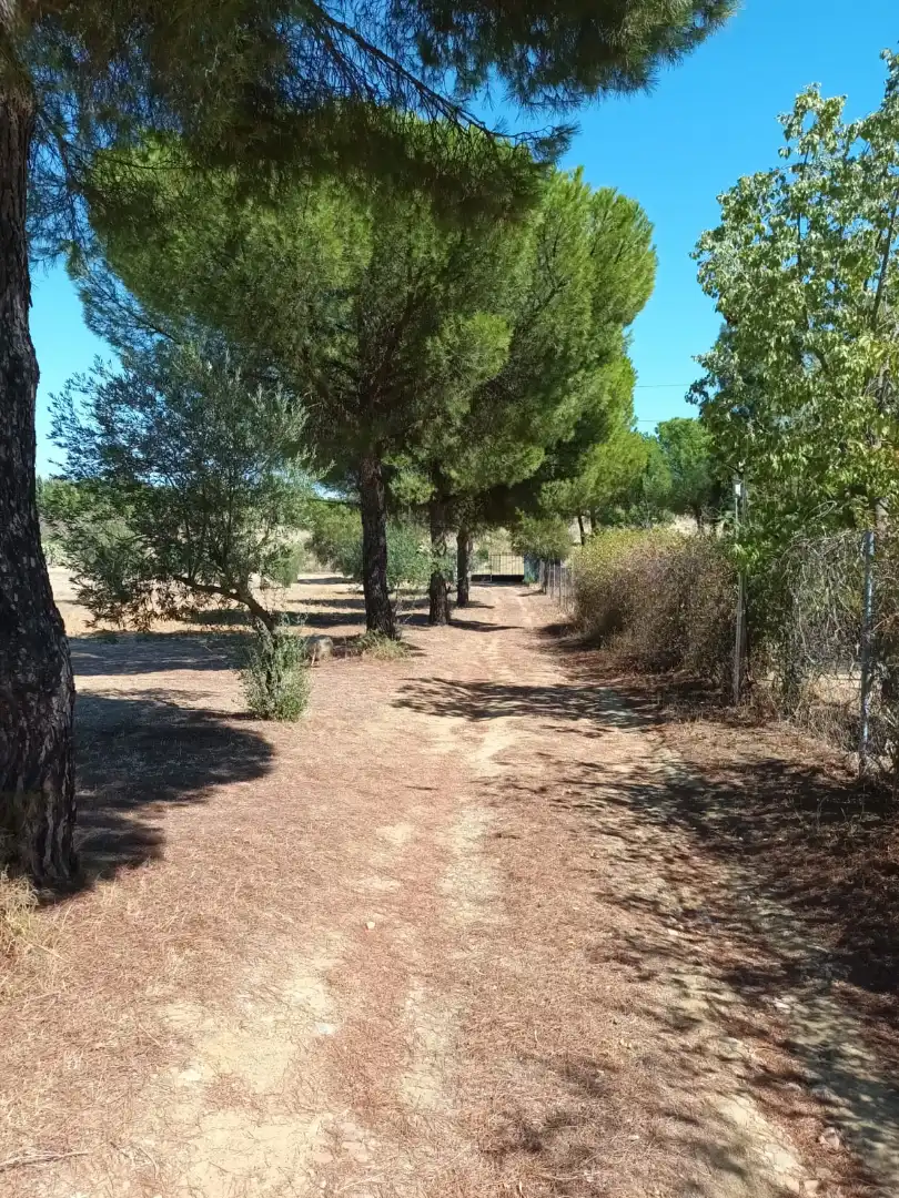 Villa avec jardin à vendre à Don Álvaro, imagen 16