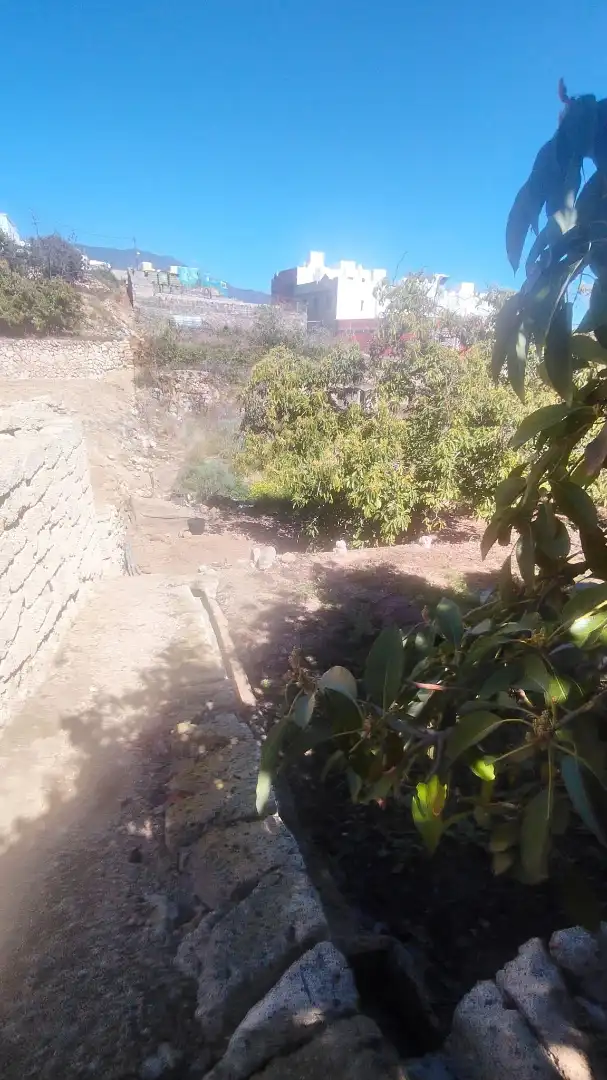 Garden of Residential for sale in Güímar