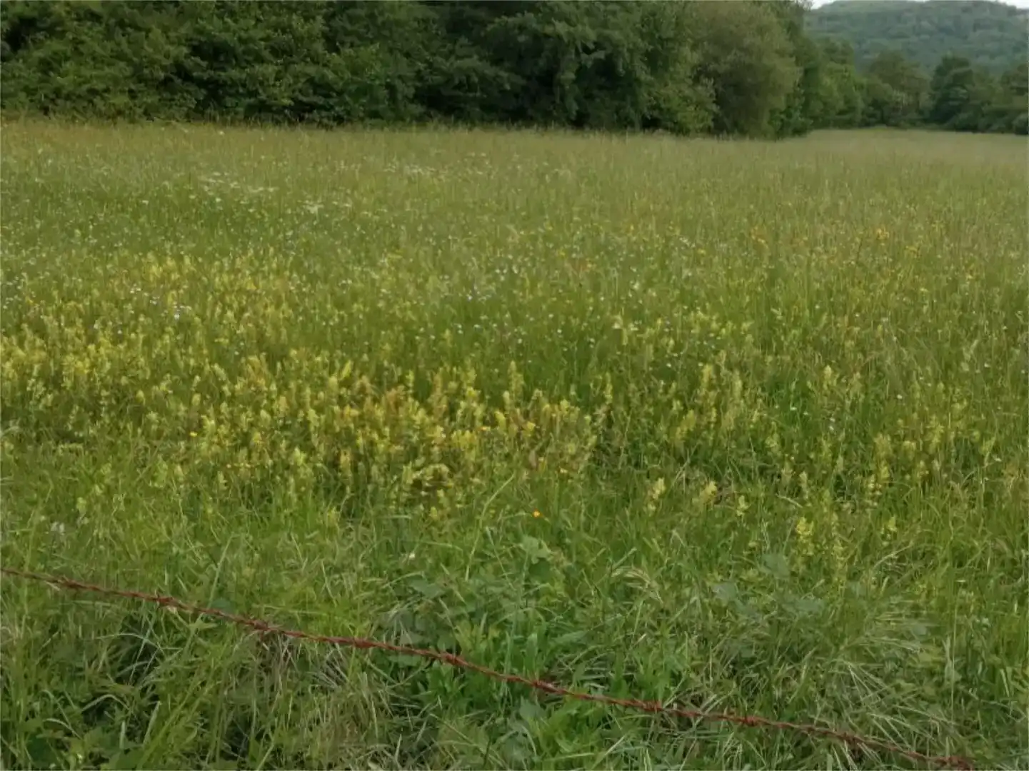 Terreno en venta en Bakaiku, Navarra