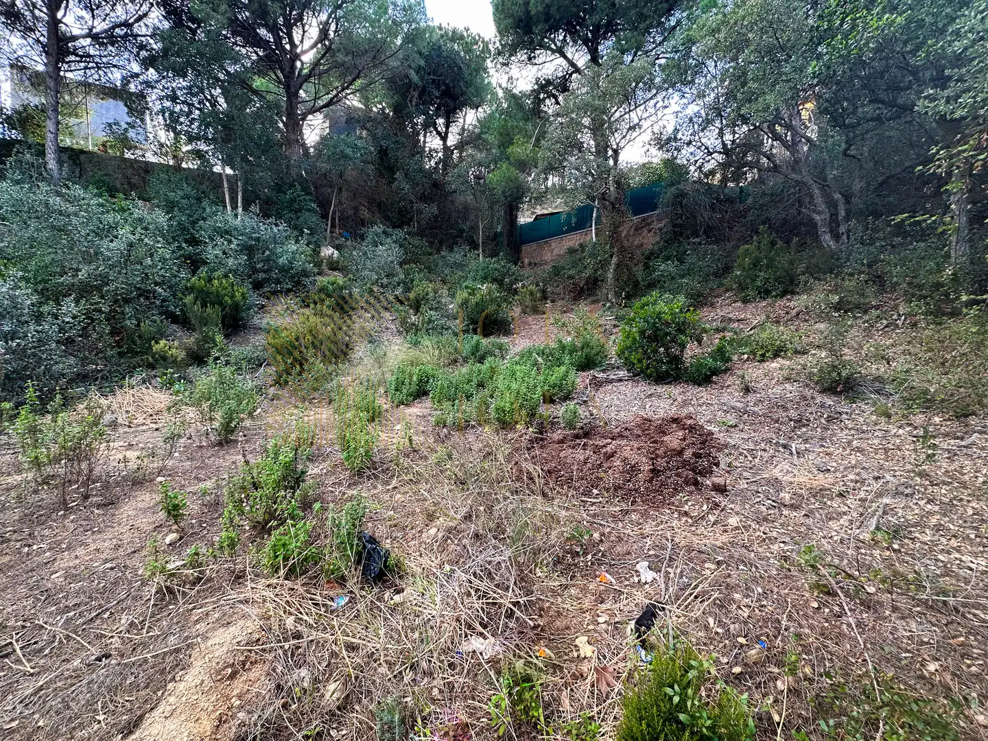 Wohnbaugrundstück zum Verkauf in Carrer de les Alzines 30, imagen 5