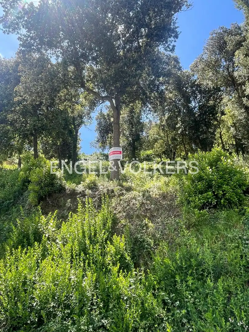 Terreno residencial en venta en Palafolls, imagen 4