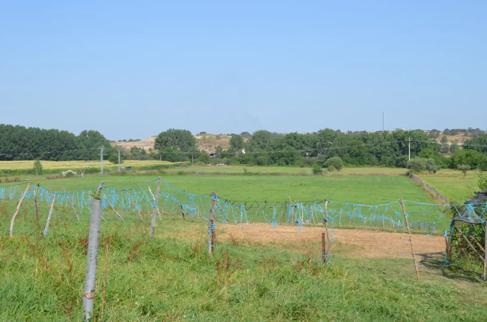 Terreno en venta en N/A, -1, Carcaboso