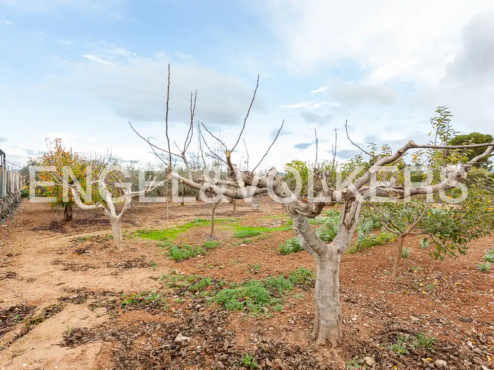 Terrain rustique à vendre à Santa Bárbara, imagen 38