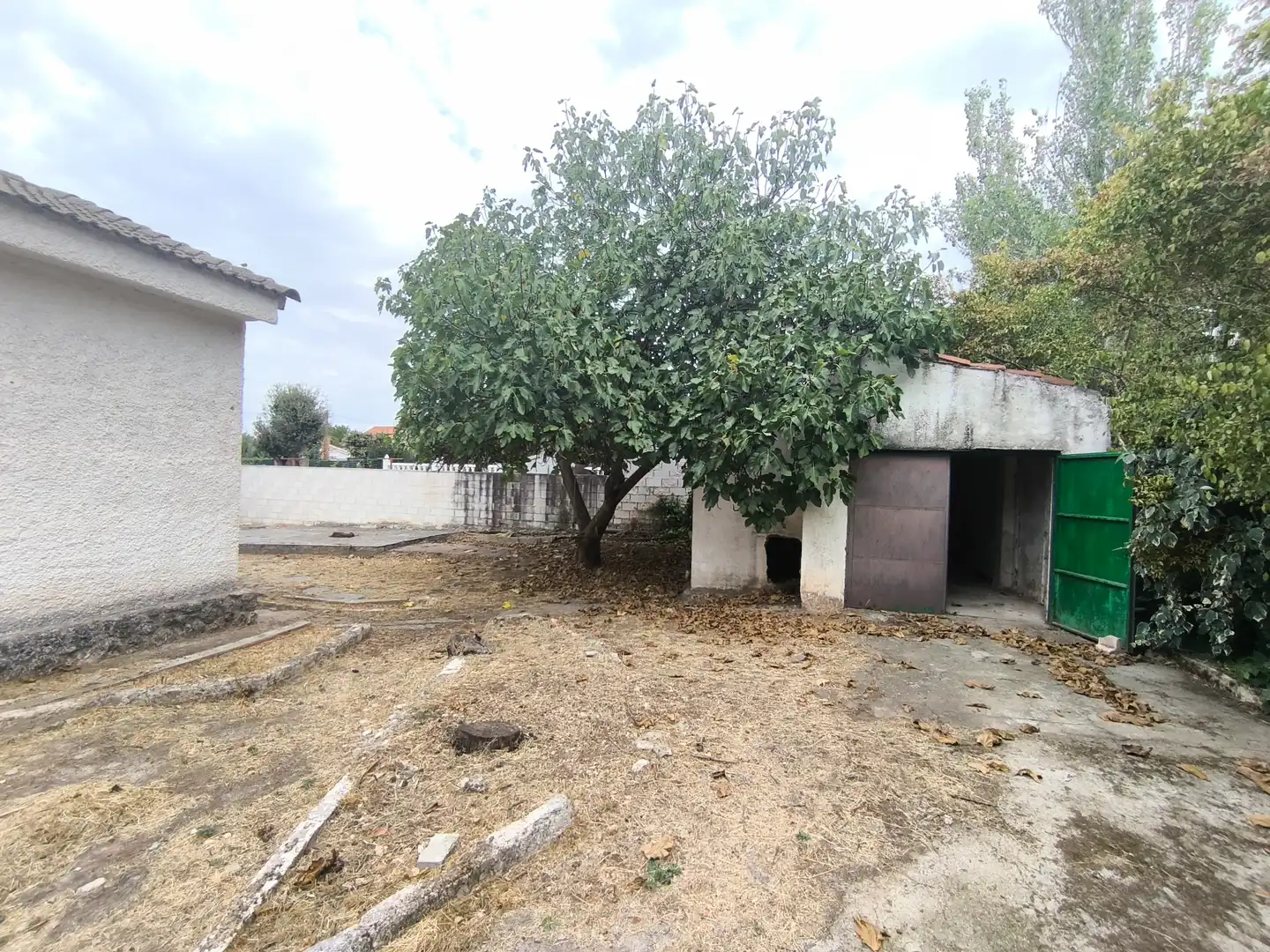 Villa con giardino in vendita a Avenida Nápoles, imagen 15