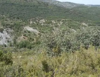 Terreno residenziale in vendita a Diseminat Agullo, imagen 8