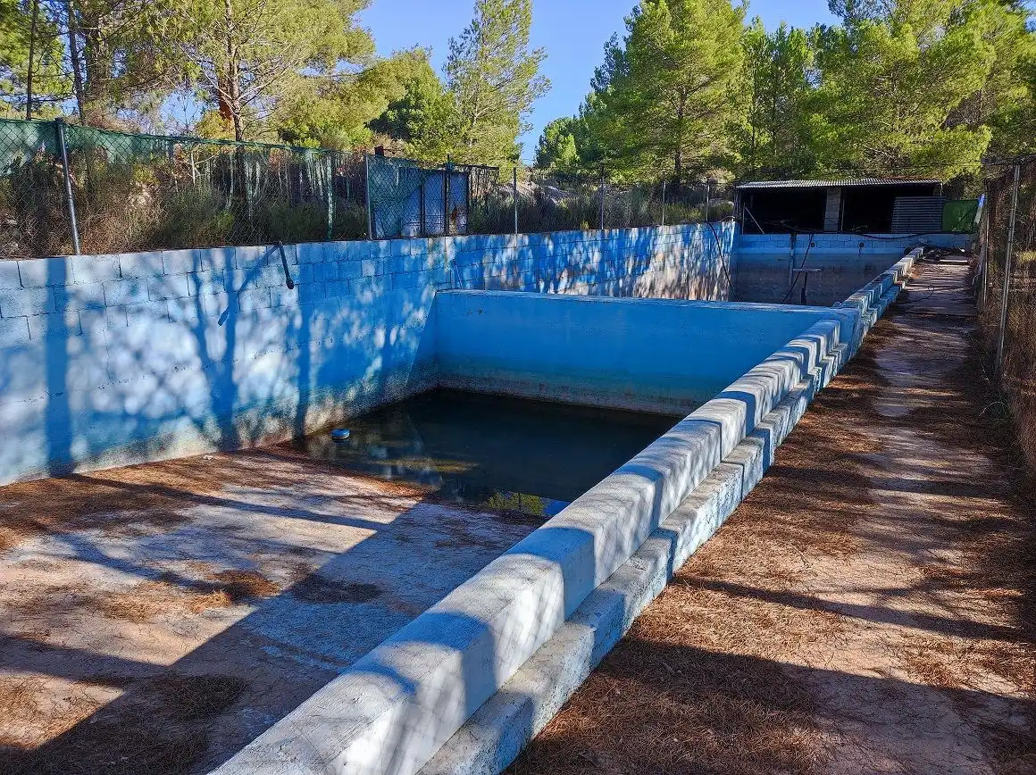 Piscina de Finca rústica en venda en Tobarra amb Jardí privat, Terrassa i Traster