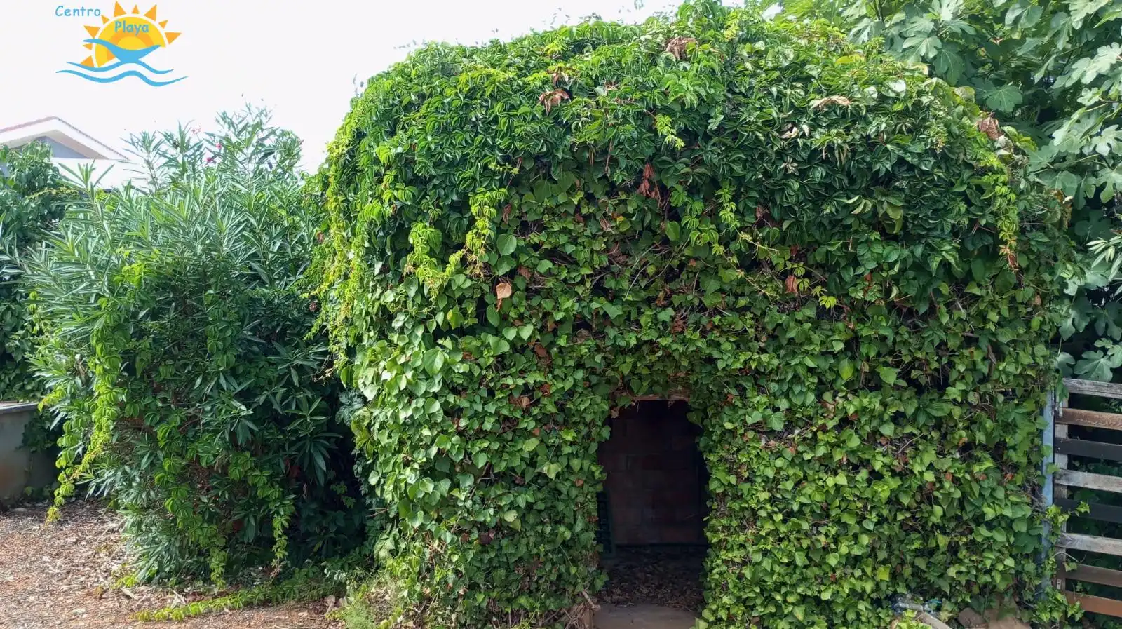 Casa o xalet en venda a Alcossebre