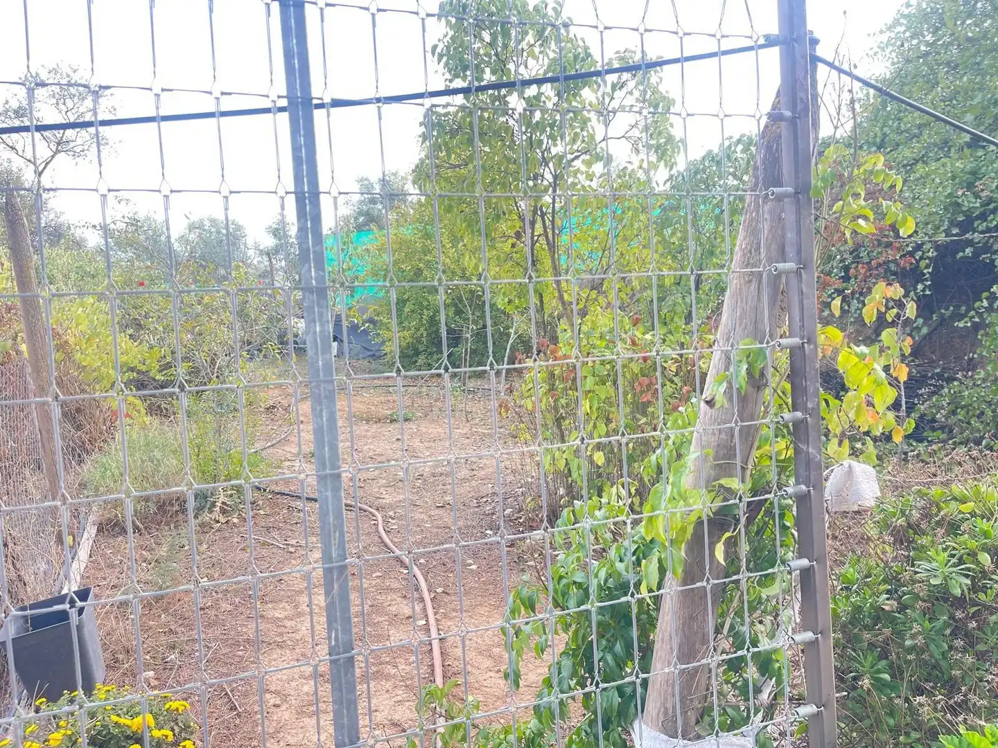 Terreni e lotti in vendita a Archidona, imagen 14