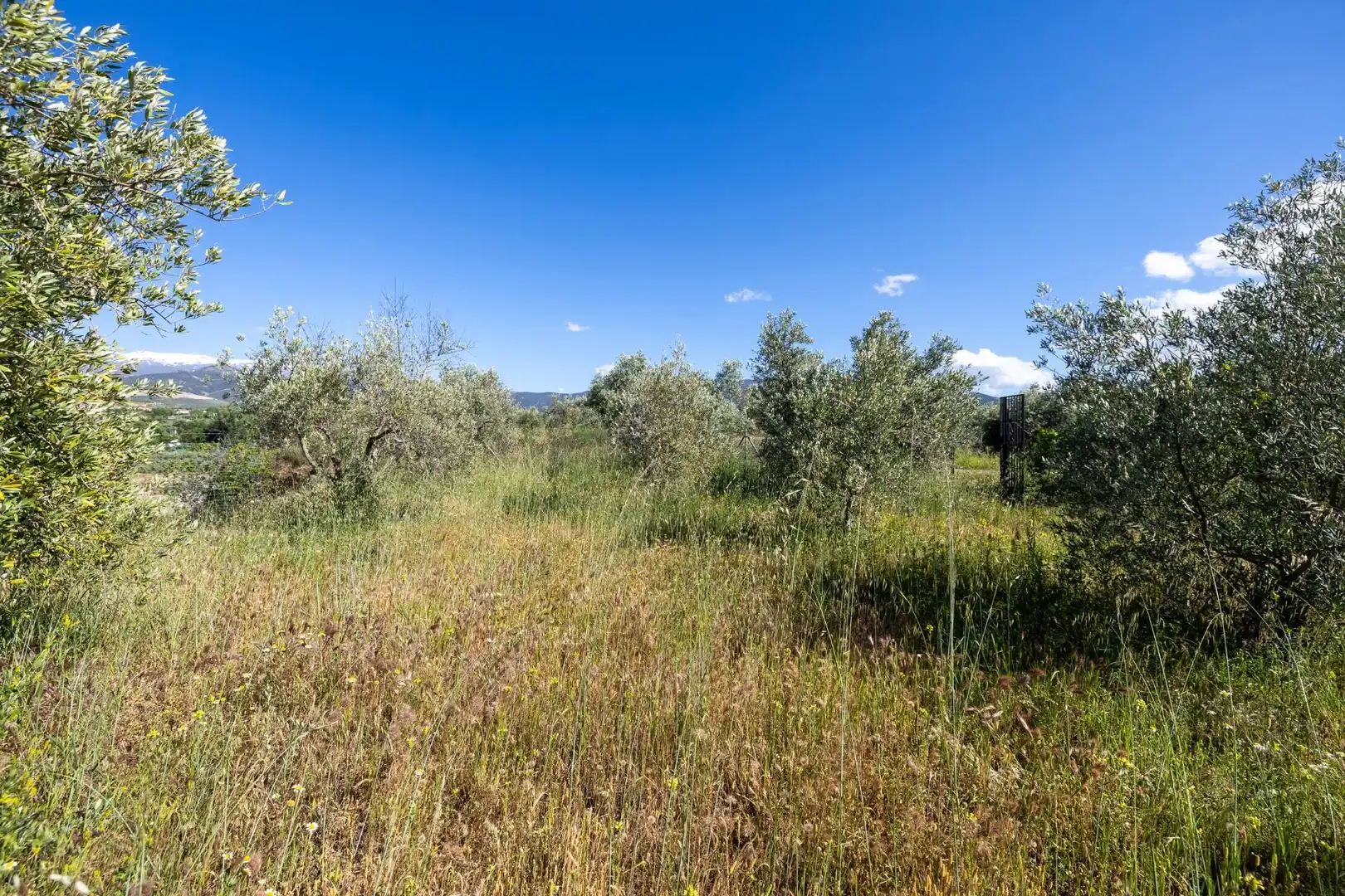 Rural land for sale in Polígono 3 Parcela 220 Arnique, imagen 24