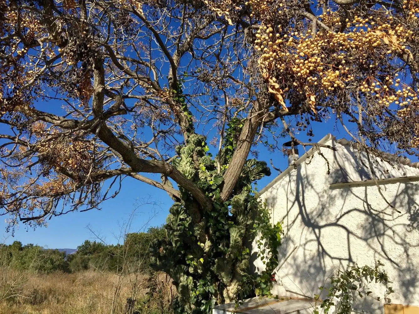 Maison rustique avec jardin à vendre à Riudoms, imagen 51