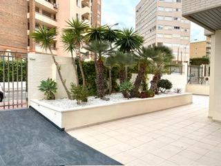 Foto 3 de Apartament de lloguer a Calle Carmelo Simón Plá, 6, Playa de San Juan, Alicante / Alacant