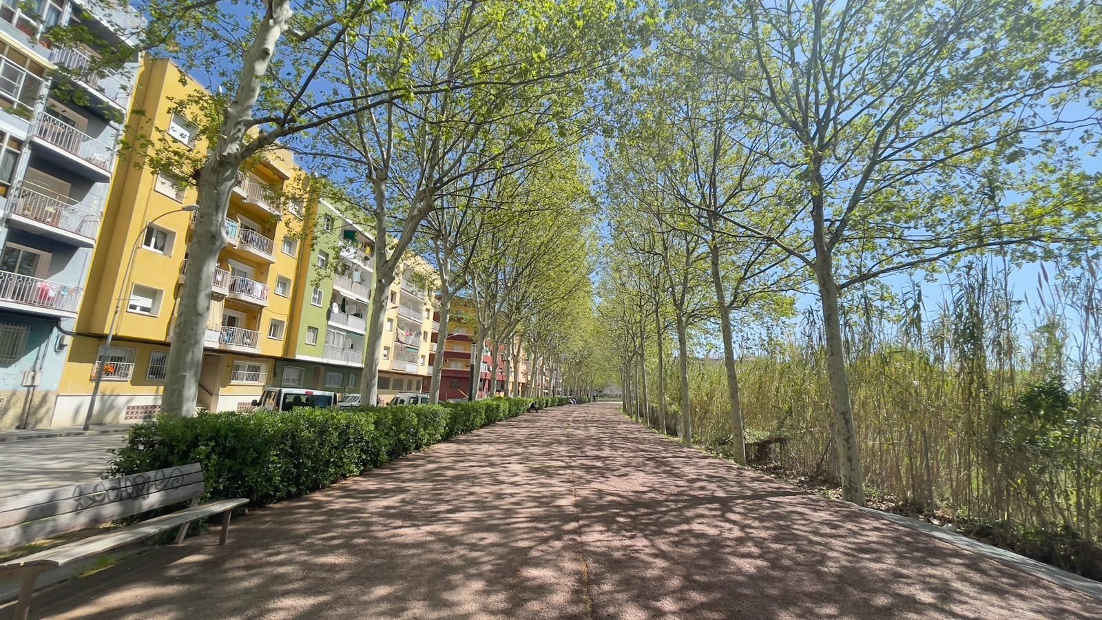 Vista exterior de Pis en venda en Blanes amb Terrassa, Moblat i Piscina comunitària