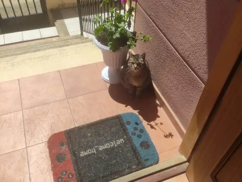 Adosado en venta en Calle el Cercado 8, imagen 9