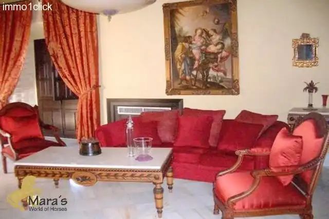 Business premises for sale in Carmona