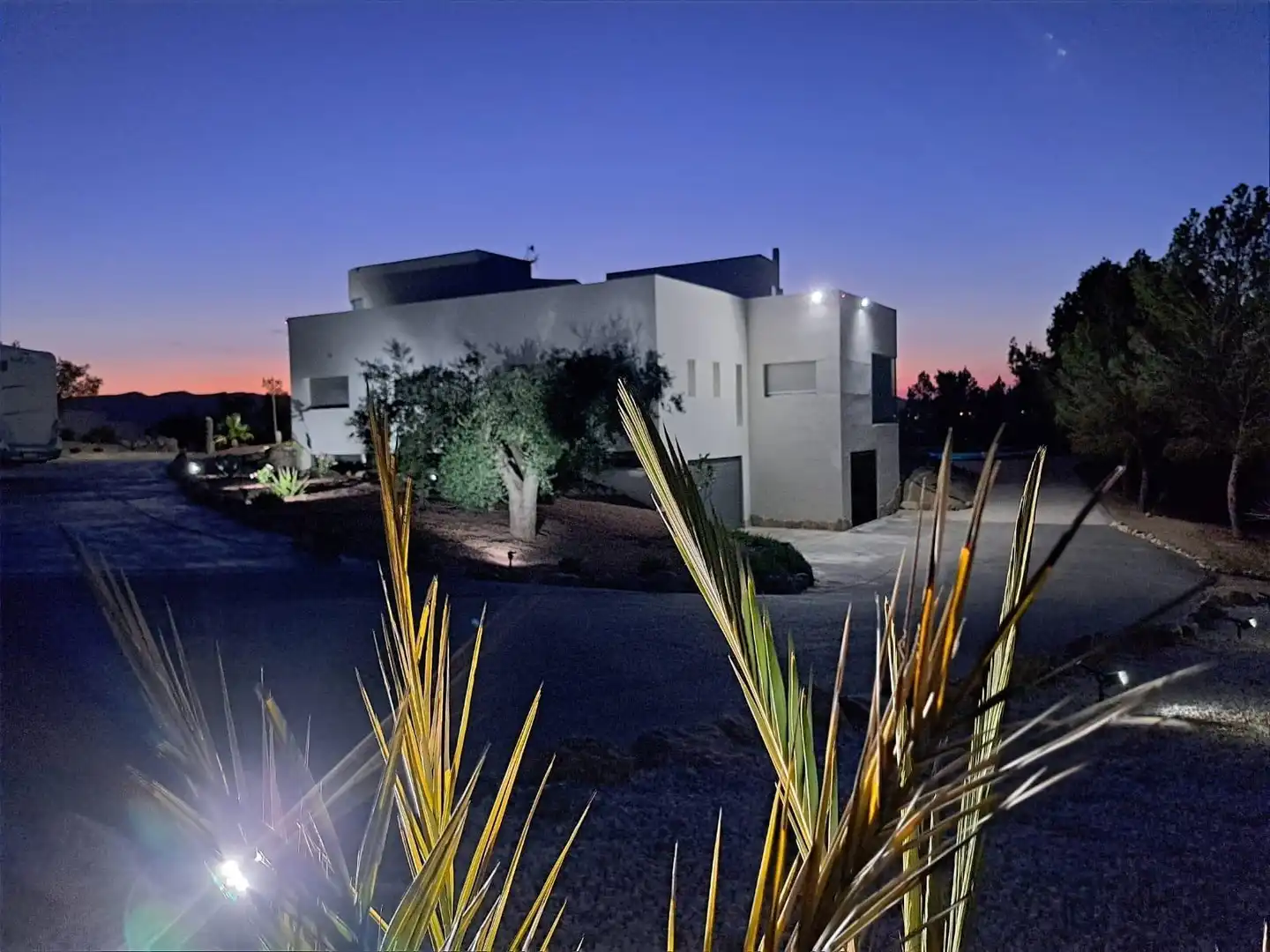 Vista exterior de Casa o xalet en venda en Elda amb Aire condicionat, Jardí privat i Terrassa