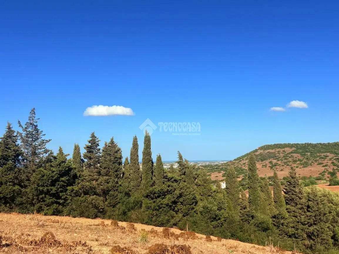 Terreno rustico in vendita a Vejer, imagen 16