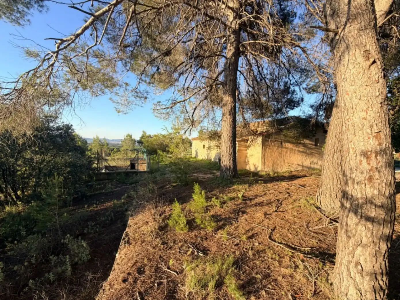 Terreny residencial en venda a El Juncal - Vallealto, imagen 11