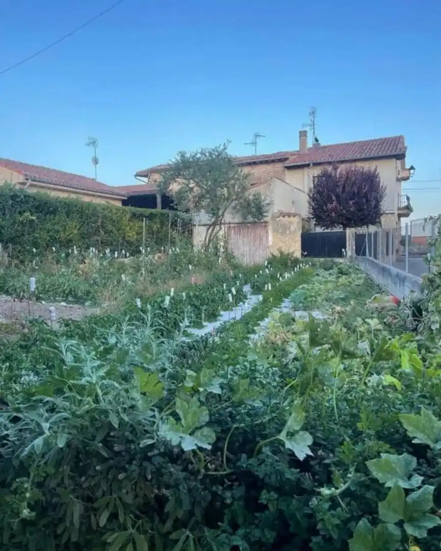 Casa o xalet en venda en San Torcuato amb Calefacció, Jardí privat i Traster