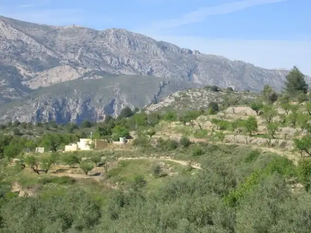Maison rustique à vendre à Ptda Font de Fuster, imagen 56