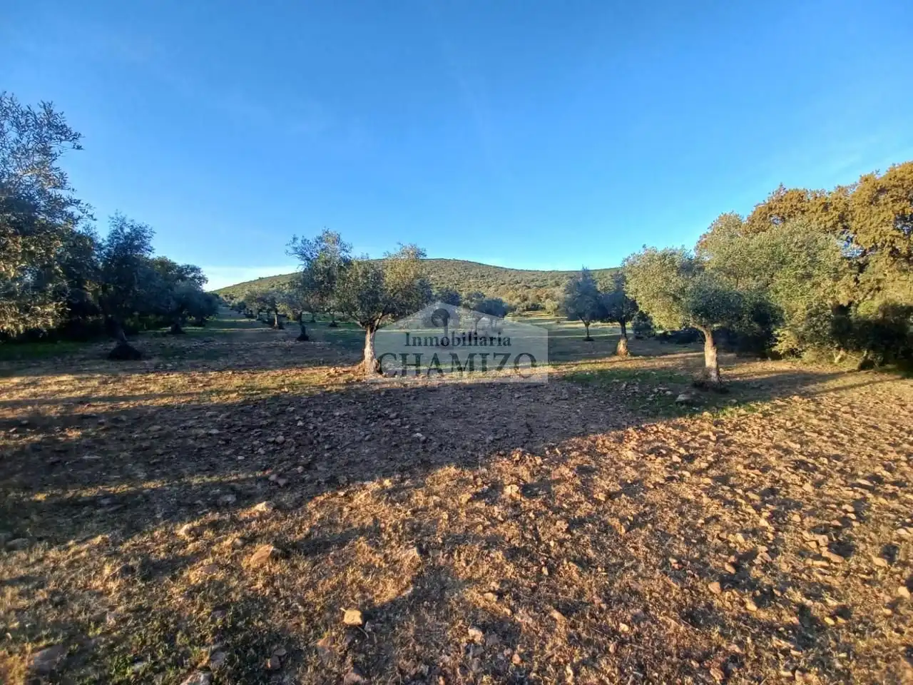 Grundstücke zum Verkauf in Peraleda del Zaucejo