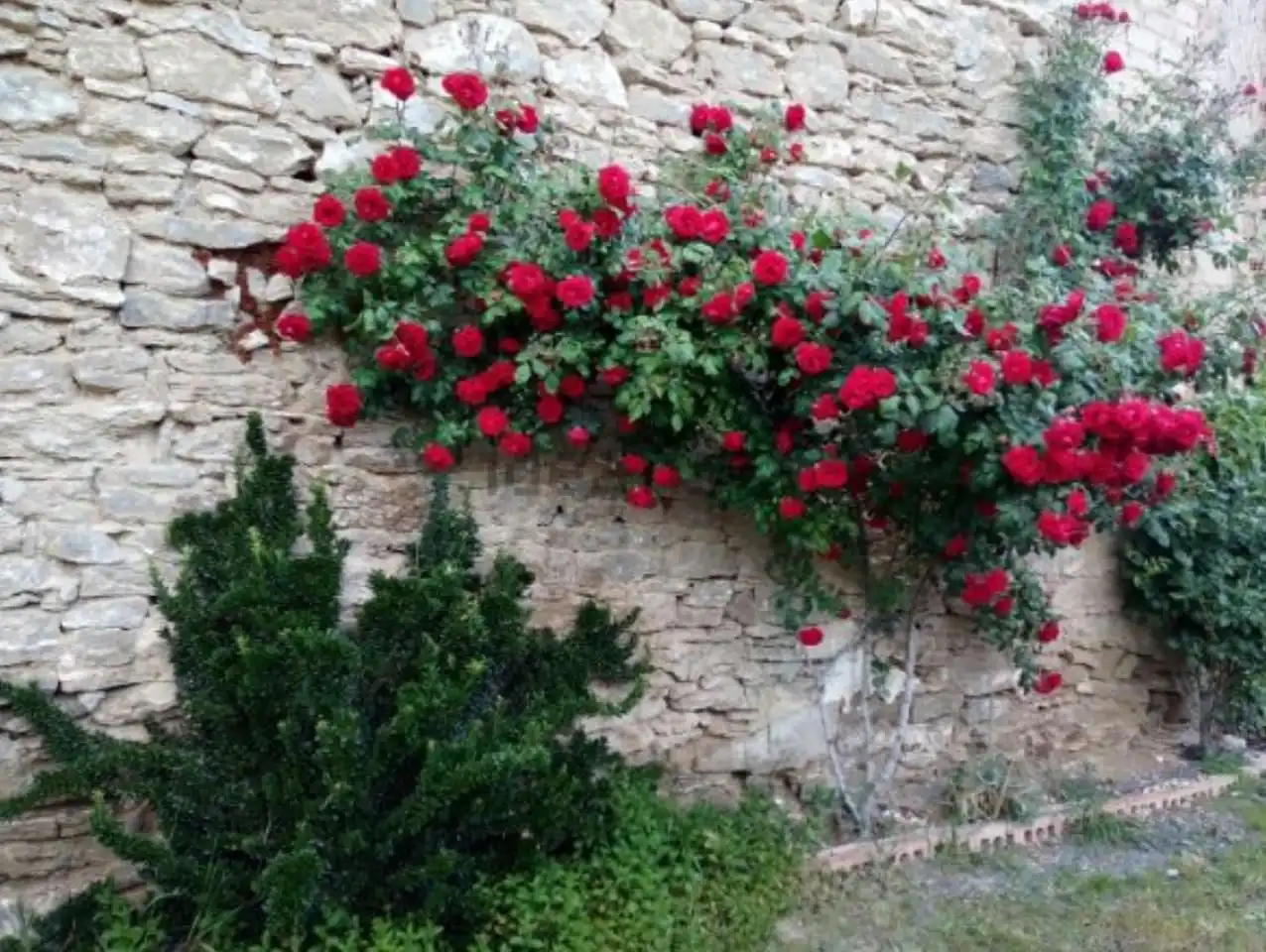 Garden of Houses for sale in Arguedas  with Air Conditioner, Private garden and Parquet flooring