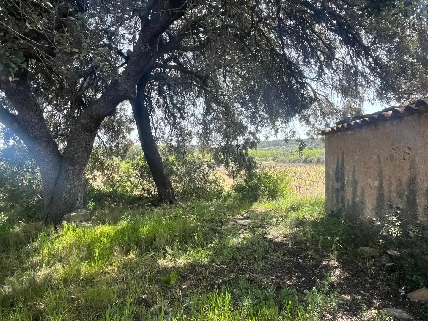 Terreni e lotti in vendita a Calaceite, imagen 6