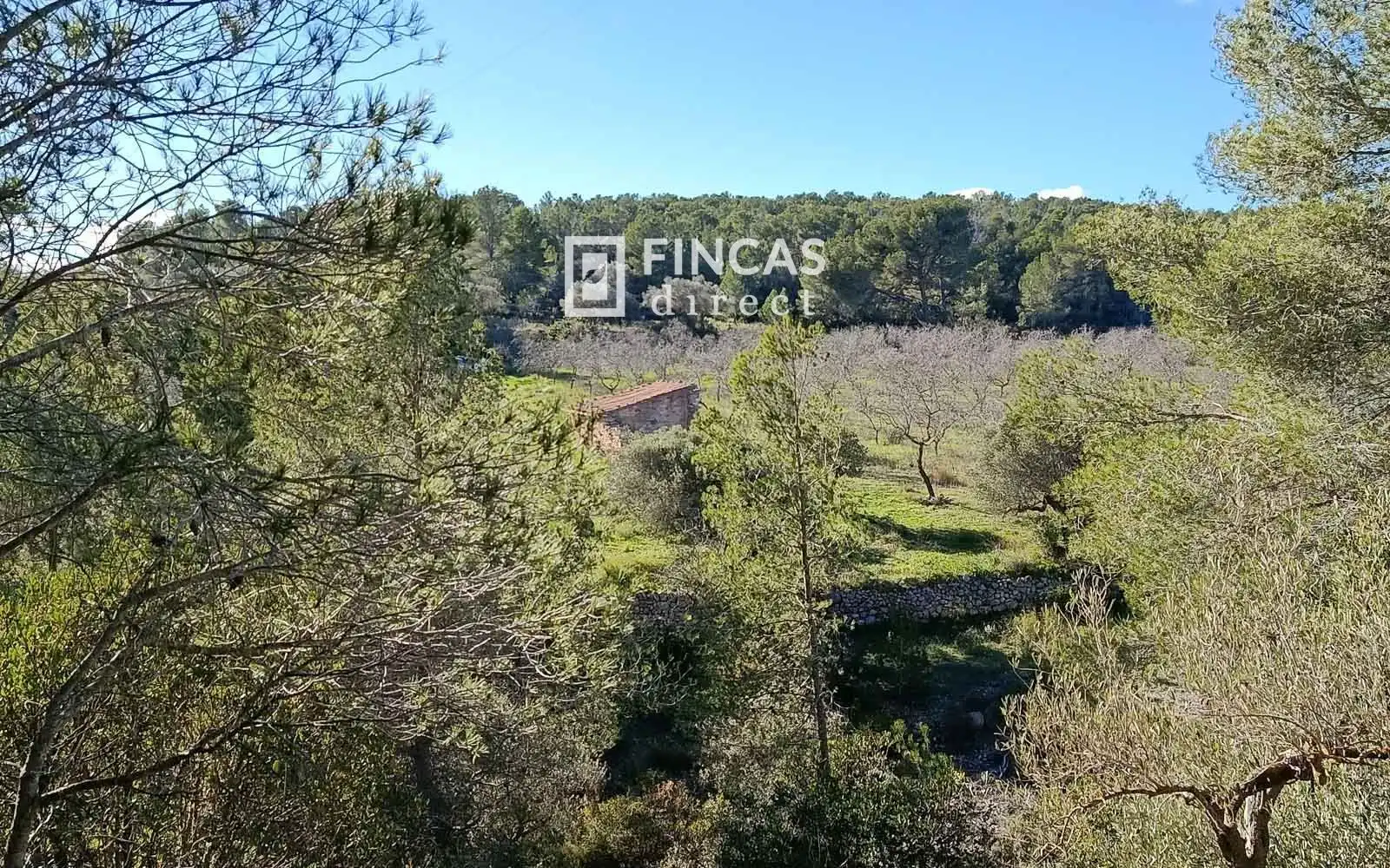 Finca rústica en venta en Miravet