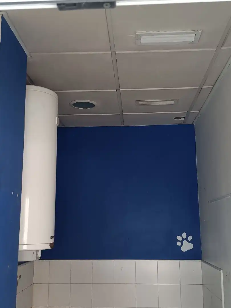 Geschaftsraum zur Miete in Segorbe