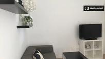 Living room of Flat to rent in  Madrid Capital  with Air Conditioner, Heating and Furnished