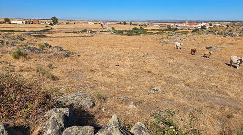 Foto 3 de Terreny en venda a Carretera Mata de Alcantara, 2, Villa del Rey, Cáceres