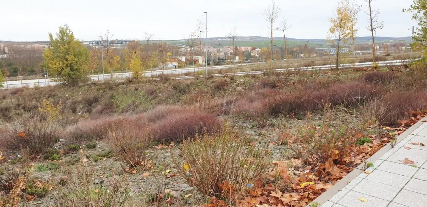 Residential land for sale in San Bernardo - Carmelitas - Campus