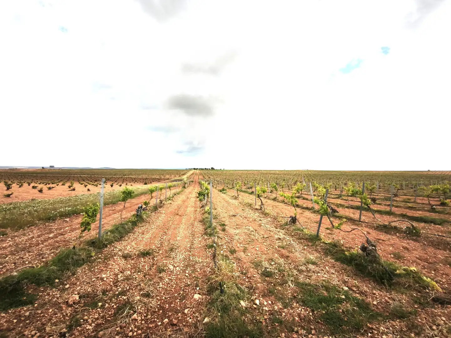 Terreno en venta en Madrid