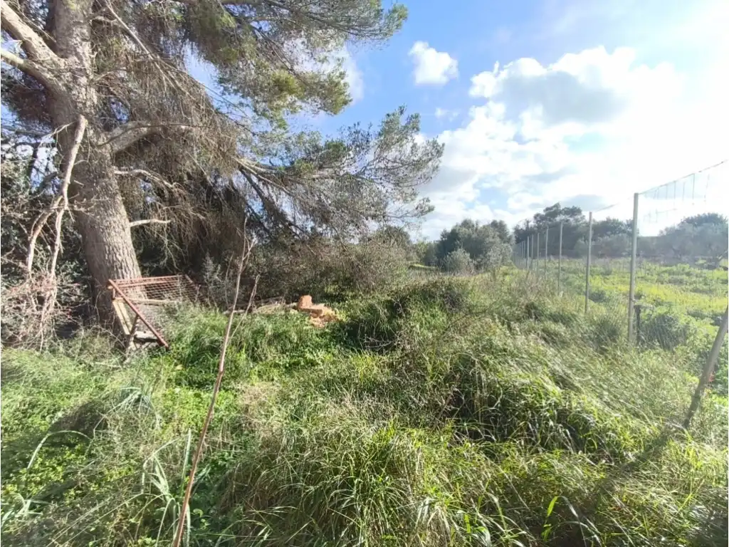 Country homes for sale in Poligono 2 Paraje 141 Sencelles, Zona Periurbana