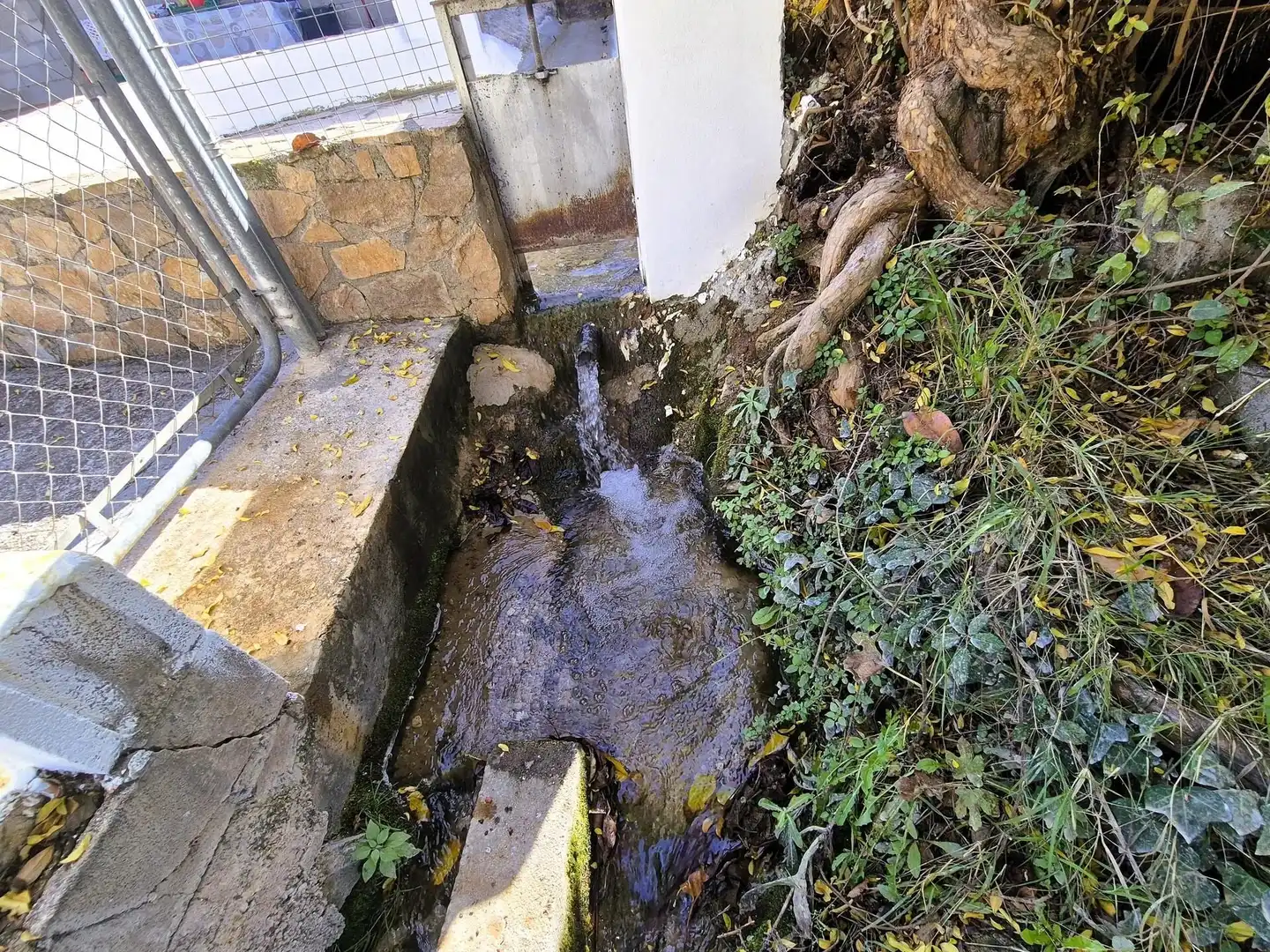 Terreny rústic en venda a Loja, imagen 19