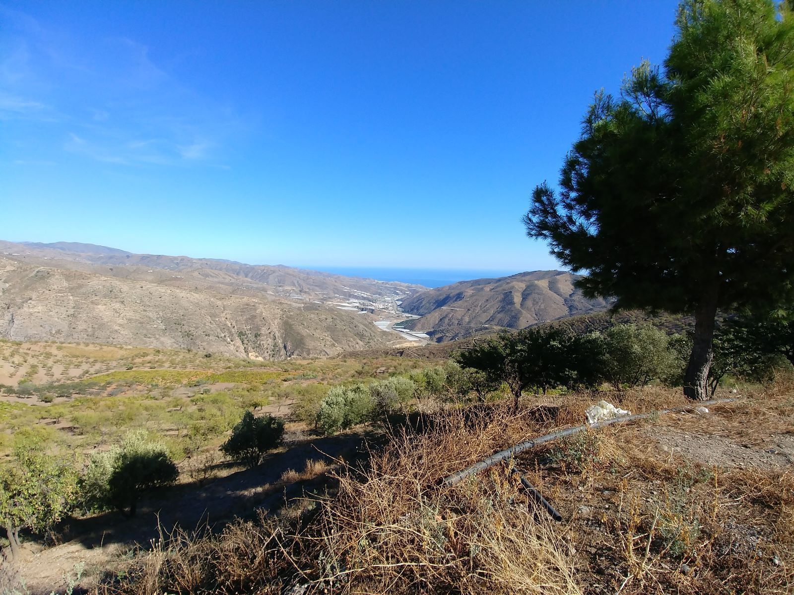 Vista exterior de Finca rústica en venda en Sorvilán amb Jardí privat, Terrassa i Moblat