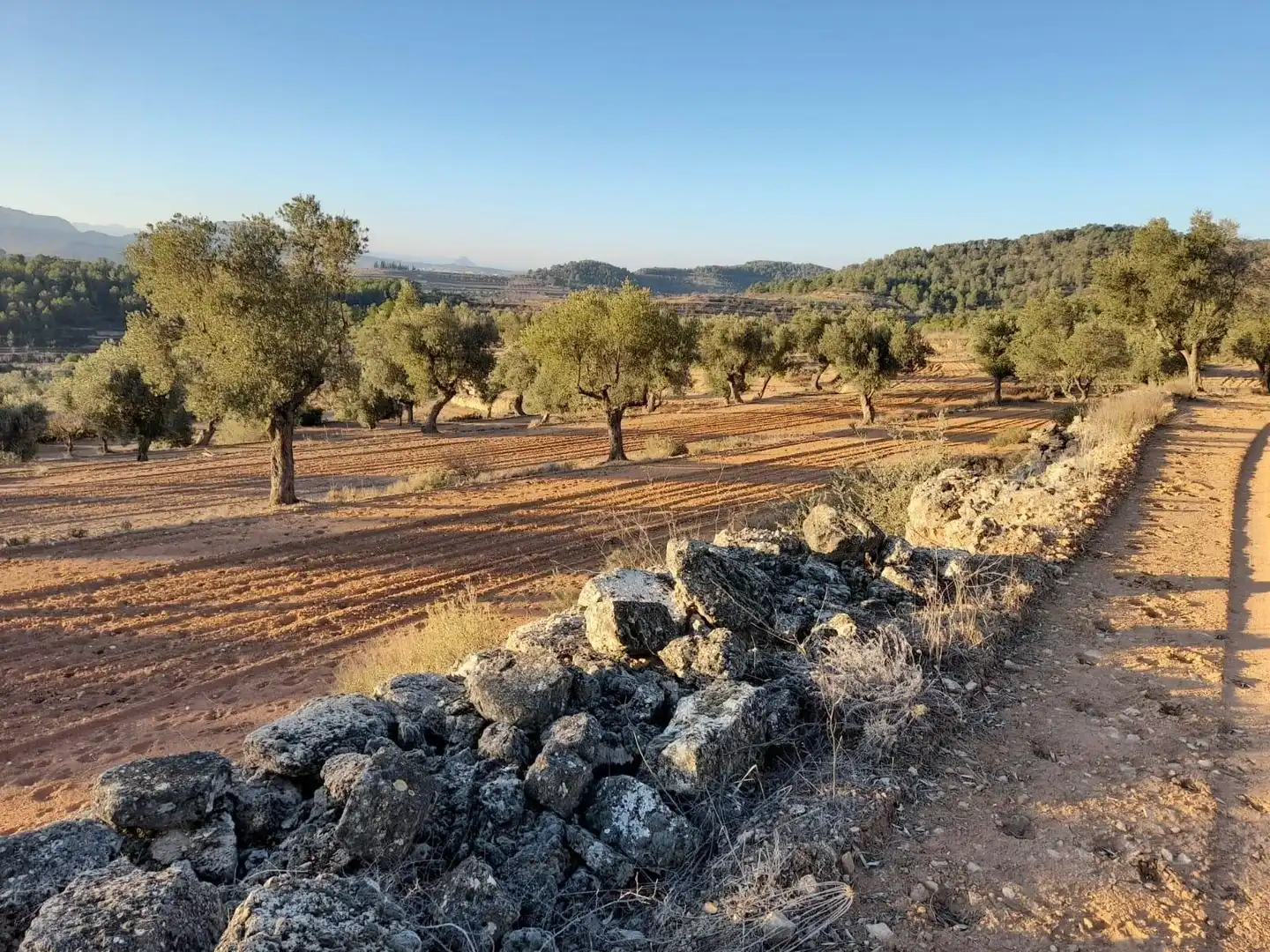 Terreno rústico en venta en Corbera d'Ebre, imagen 27