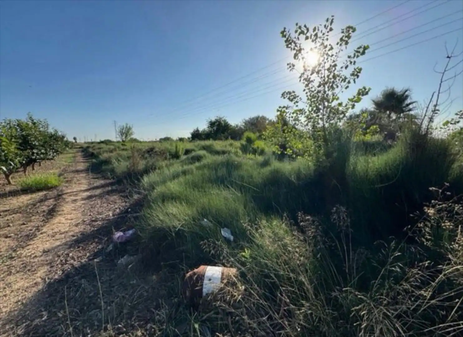 Rustikales Grundstück zum Verkauf in CAMI DE LA MARJAL, imagen 3