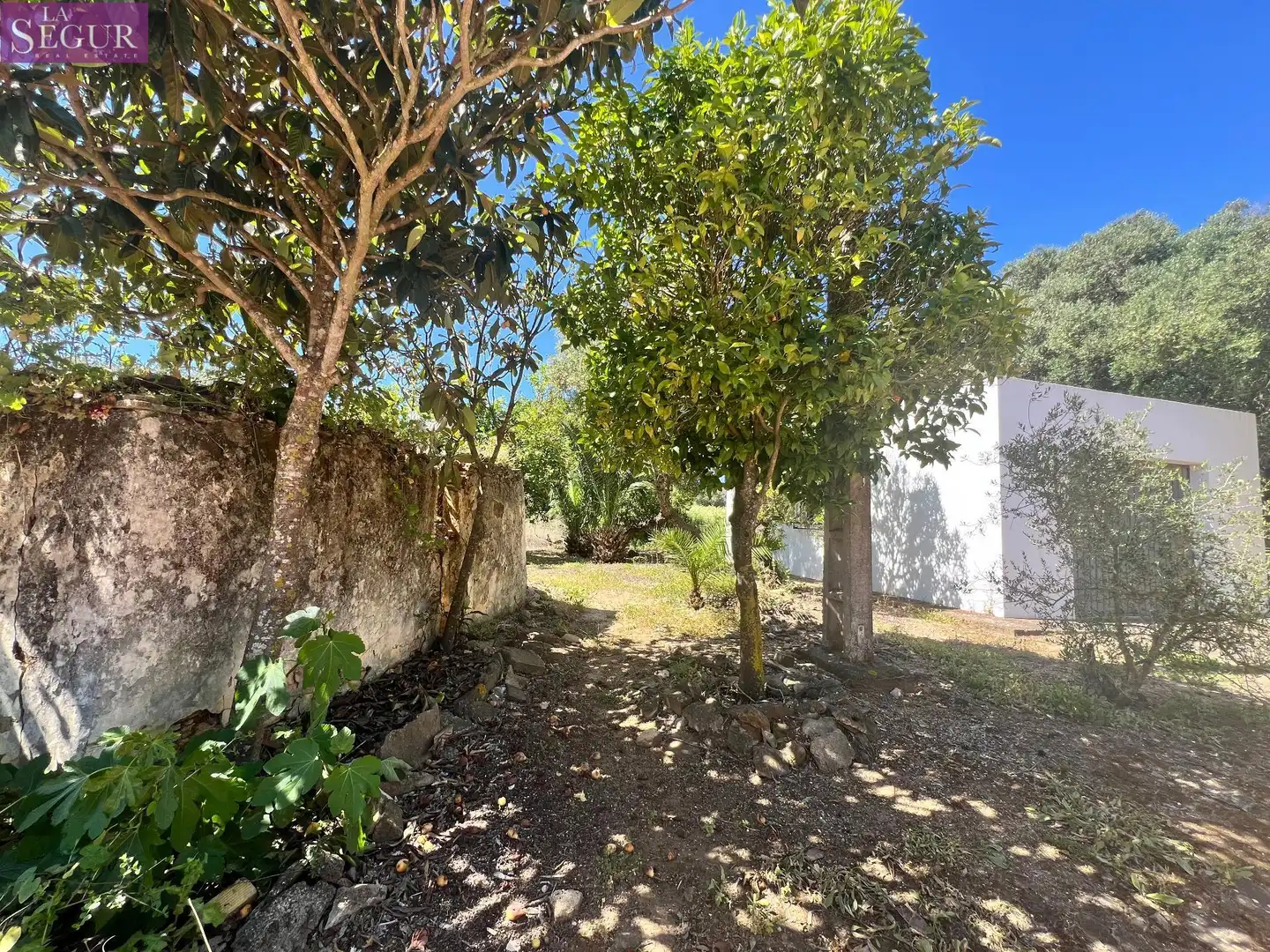 Terreni e lotti in vendita a Vejer, imagen 15