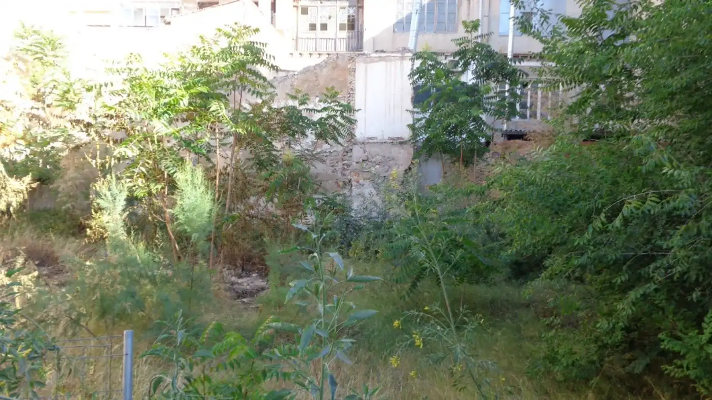 Terrains et parcelles à vendre à Centro, imagen 5