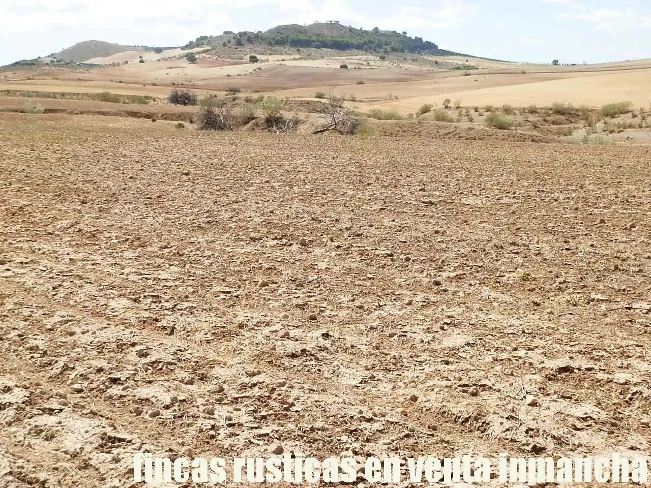 Terreni e lotti in vendita a Cabra del Santo Cristo, imagen 11