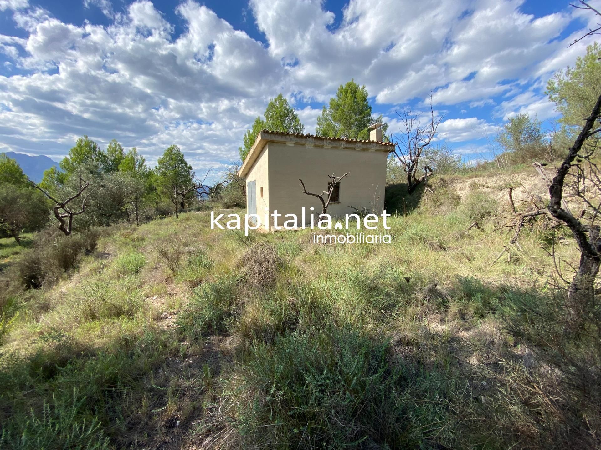 Land for sale in Millena