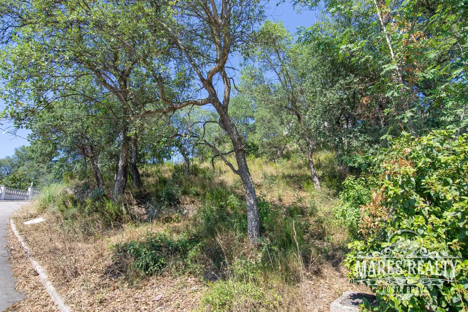 Terrenos y solares en venta en Aiguaviva Parc, imagen 2