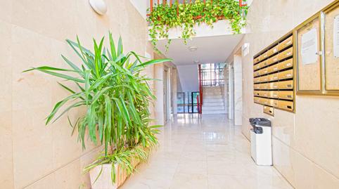 Photo 2 of Planta baja for sale in Plaza de la Viña, Urbadiez - Entrepuentes, Sevilla