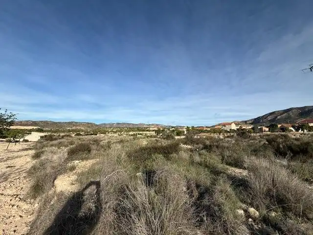 Lands and plots for sale in Abanilla, imagen 4