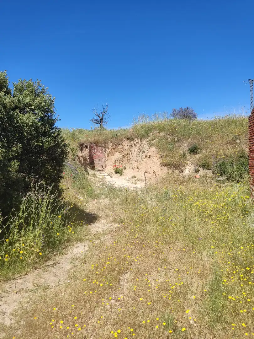 Land for sale in Navalcarnero