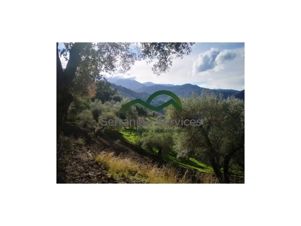 Finca rústica en venda en Genalguacil